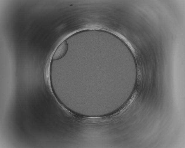 X0000102531343200809051501