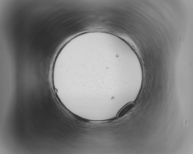 X0000102531344200809051501