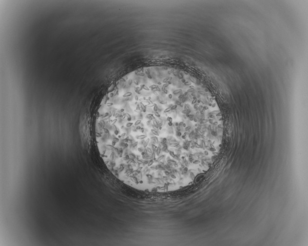 X0000102531346200809051500