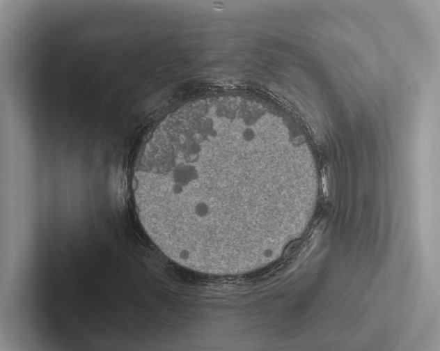 X0000102531347200809051500