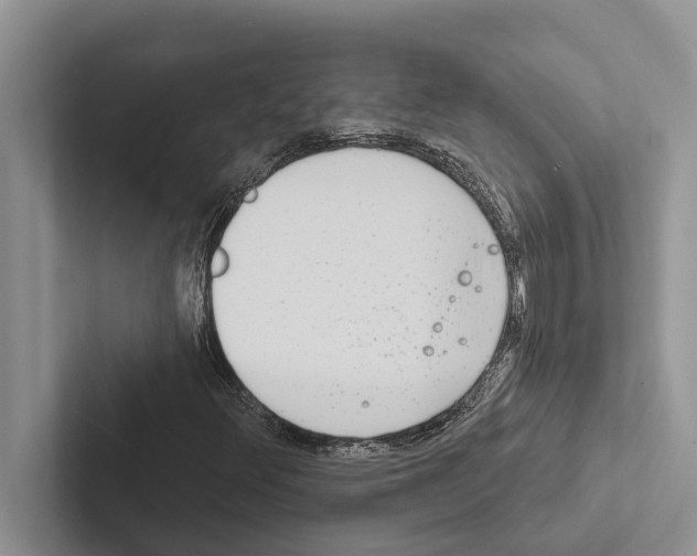 X0000102531348200809051500