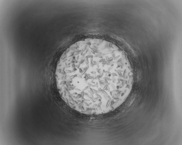 X0000102531350200809051500
