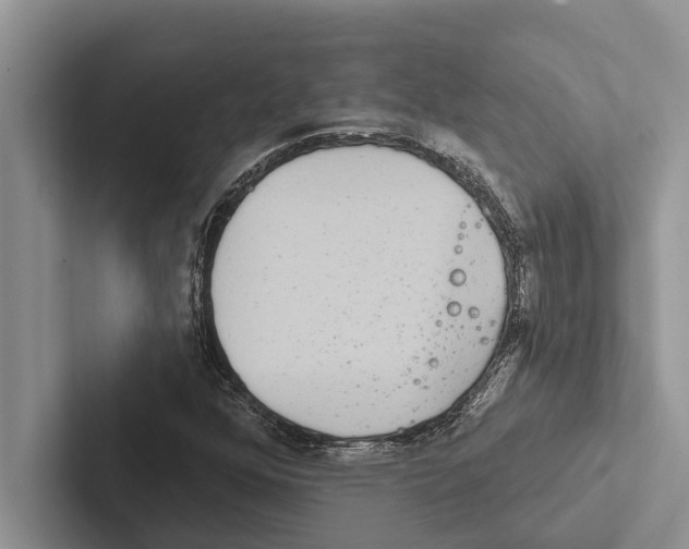 X0000102531352200809051500