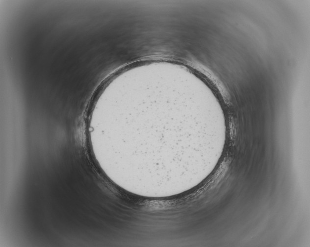 X0000102531356200809051500