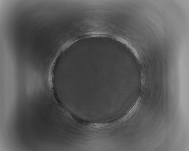 X0000102531357200809051500