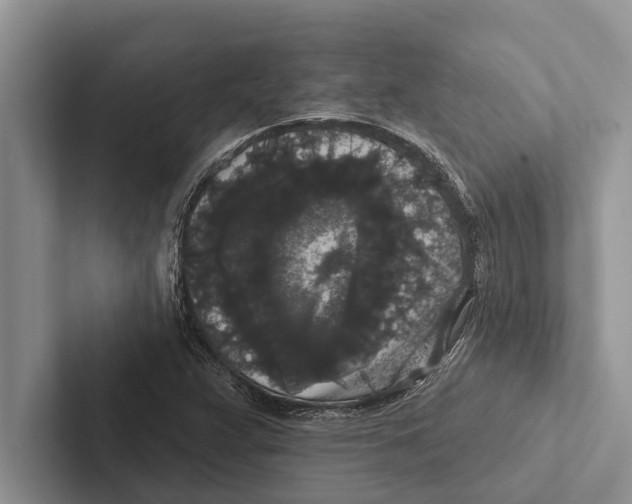 X0000102531359200809051500