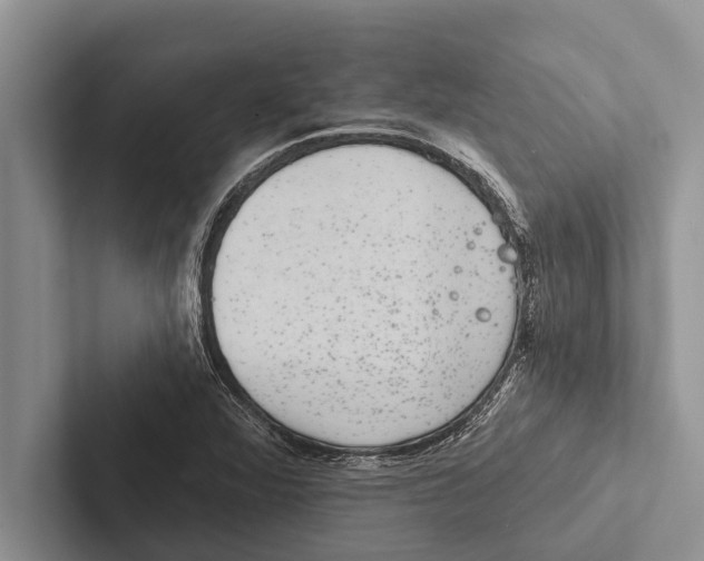 X0000102531360200809051500