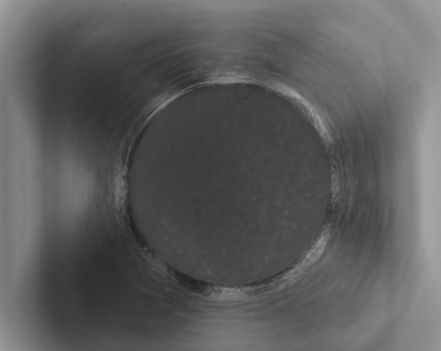 X0000102531361200809051500