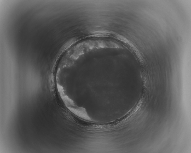 X0000102531362200809051500
