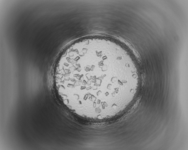 X0000102531363200809051500