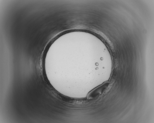 X0000102531364200809051500