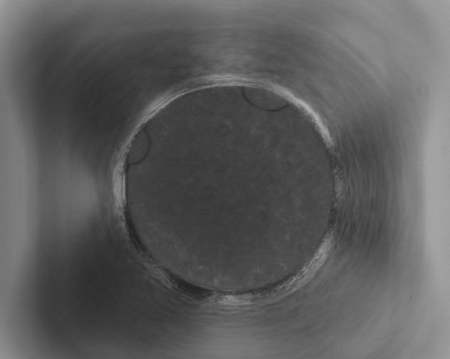 X0000102531365200809051500