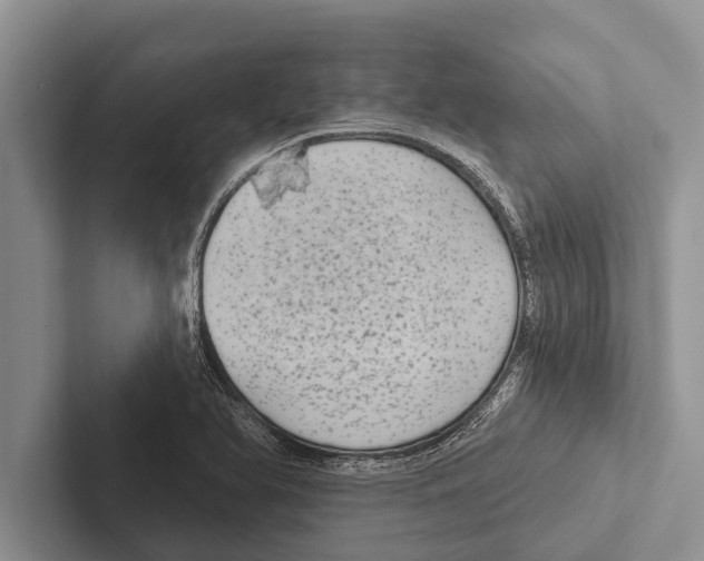 X0000102531366200809051500