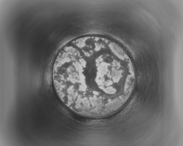 X0000102531367200809051500