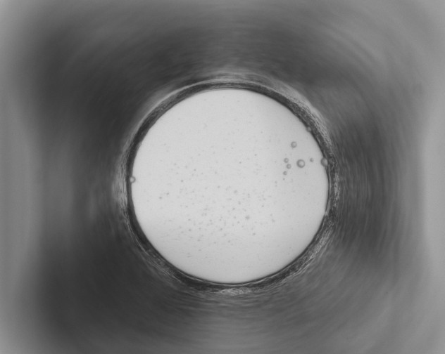 X0000102531368200809051500