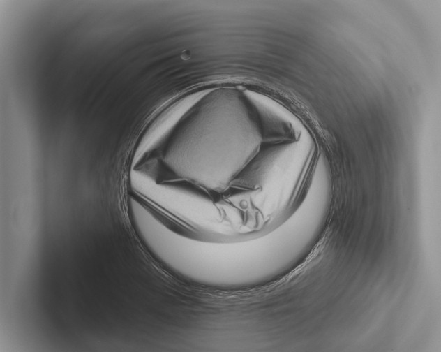 X0000102531369200809051500