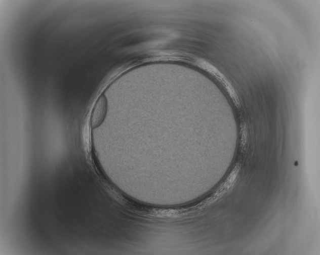 X0000102531370200809051500