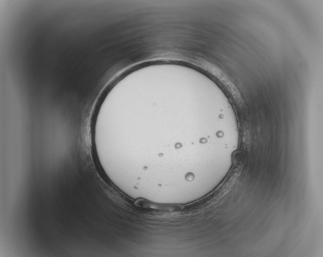 X0000102531372200809051500