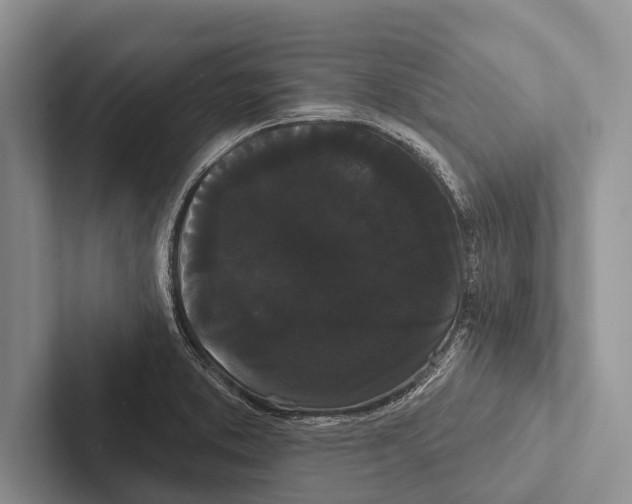 X0000102531373200809051500