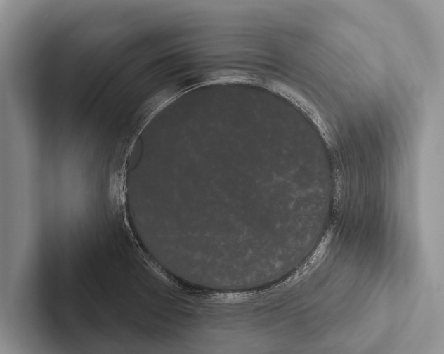 X0000102531377200809051500