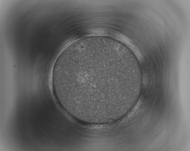 X0000102531378200809051500