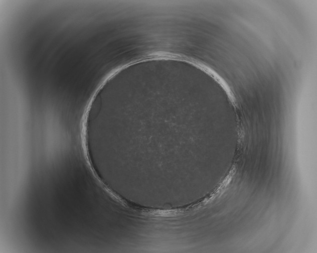 X0000102531381200809051500