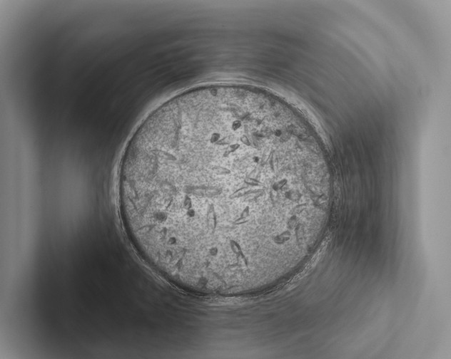 X0000102531382200809051500