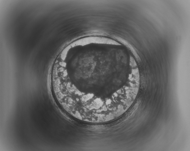 X0000102531383200809051500