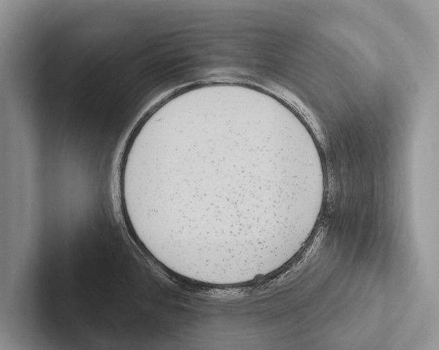 X0000102531384200809051500