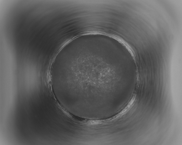 X0000102531385200809051500