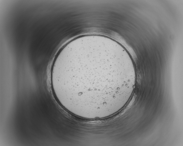X0000102531388200809051500