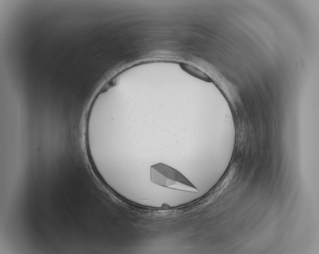 X0000102531390200809051500