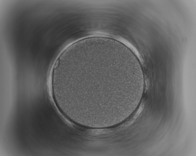 X0000102531391200809051500