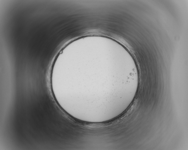X0000102531392200809051500