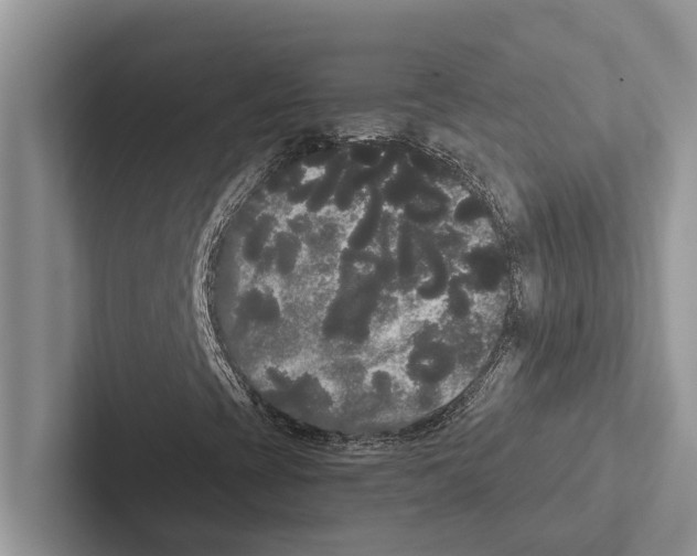 X0000102531393200809051459