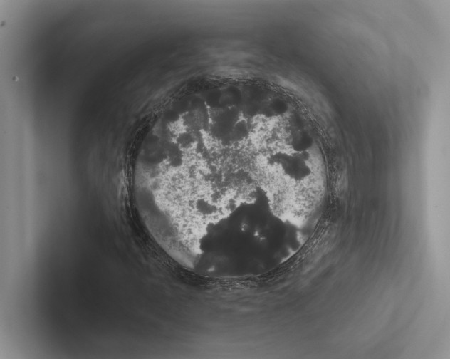 X0000102531397200809051459