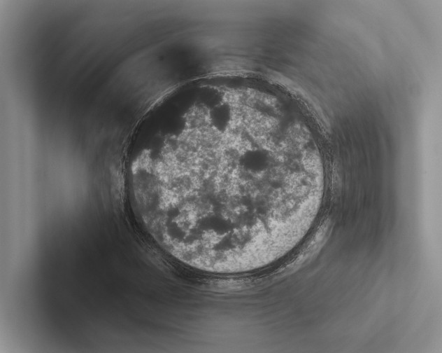 X0000102531401200809051459