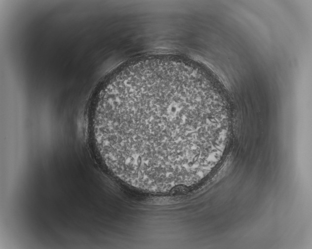 X0000102531402200809051459