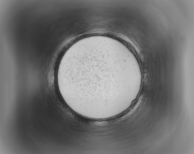 X0000102531406200809051459