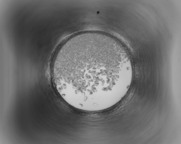 X0000102531408200809051459