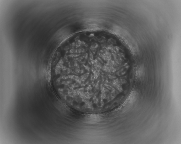 X0000102531409200809051459