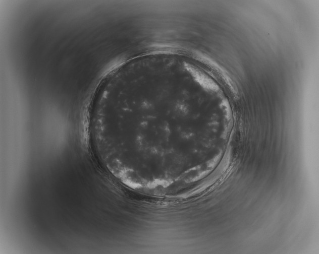X0000102531411200809051459