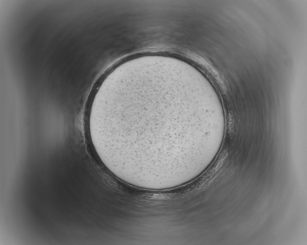 X0000102531412200809051459
