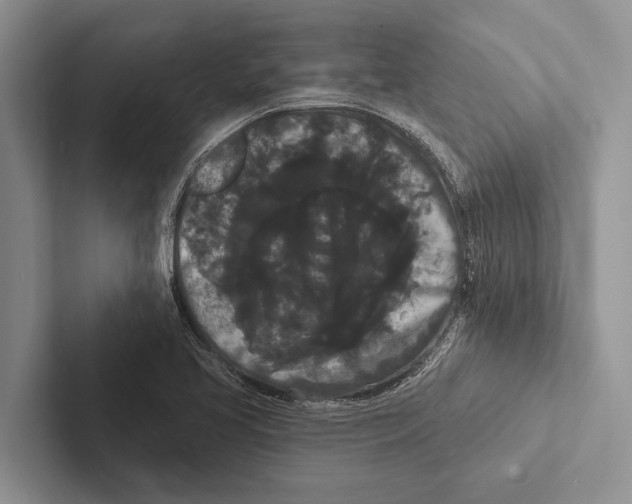 X0000102531413200809051459