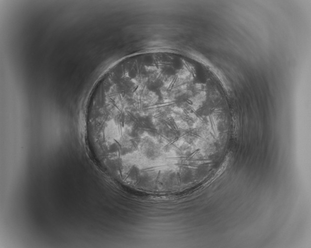X0000102531415200809051459