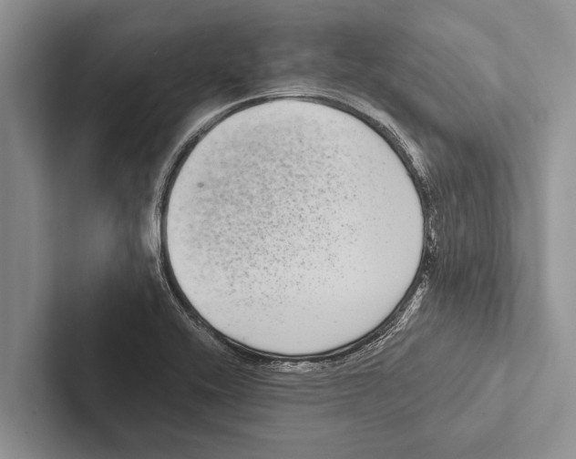 X0000102531416200809051459