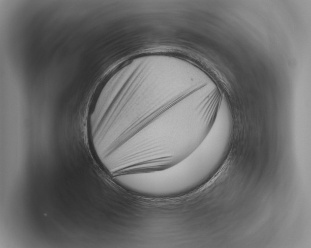 X0000102531417200809051459