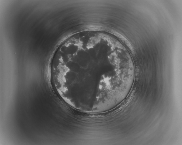 X0000102531419200809051459