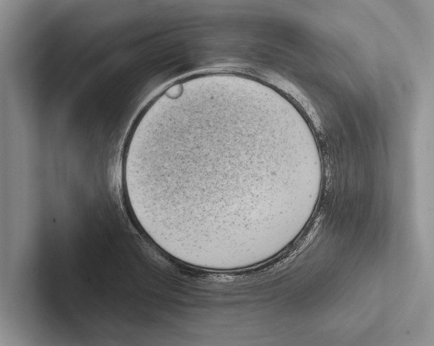 X0000102531420200809051459