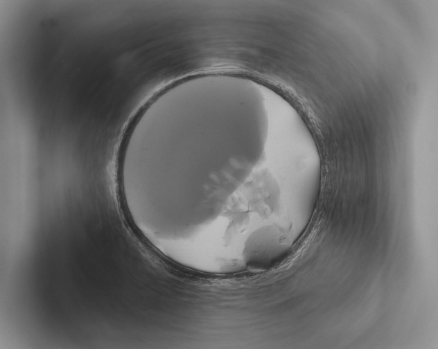 X0000102531422200809051459